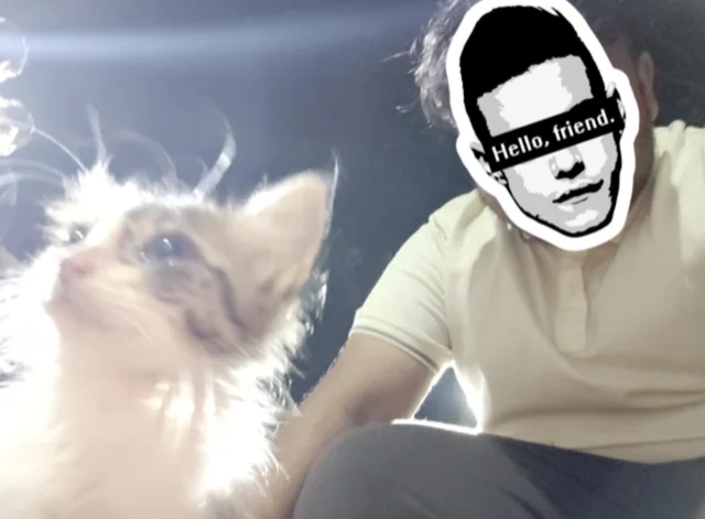 A cat representing Om's favorite animal